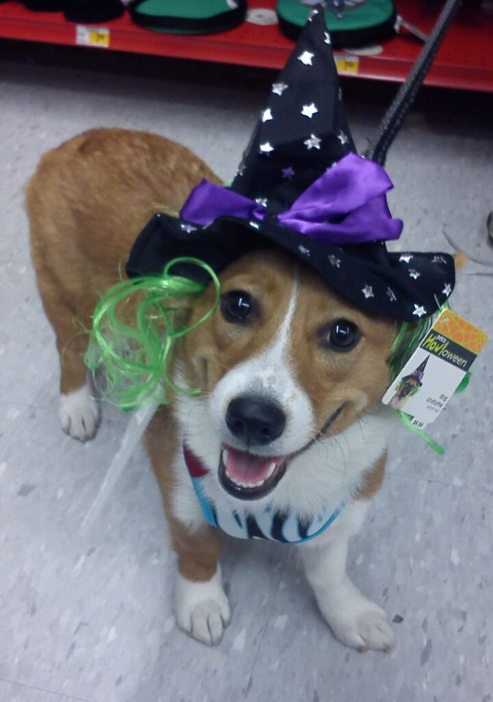 Maggie-Witch-Halloween-Kittystead