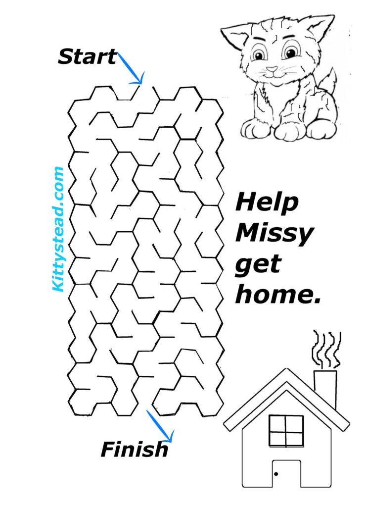 Printable - help Missy get home