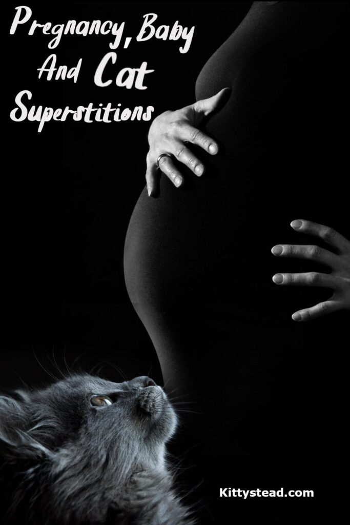 Pregnancy Baby And Cat Superstitions - Kittystead