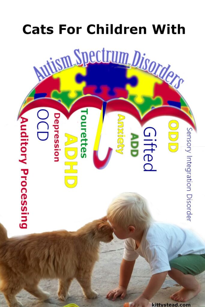Cats For Children With ASD - Autism Spectrum Disorders - Kittystead