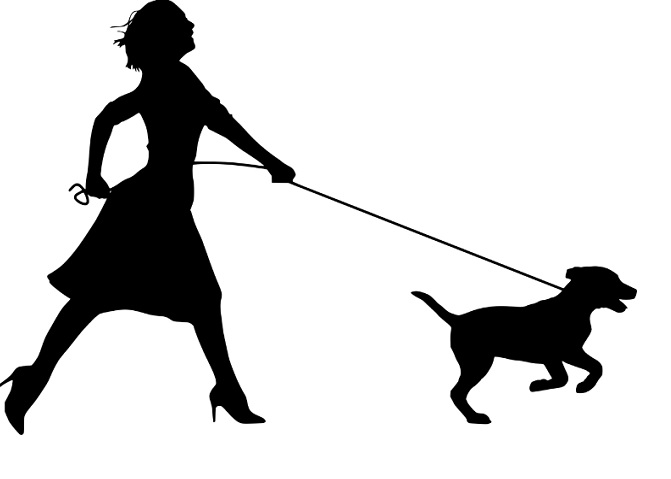 Lady Shadow walking Dog on leash