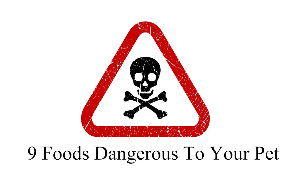 Foods Dangerous To Your Pet 1