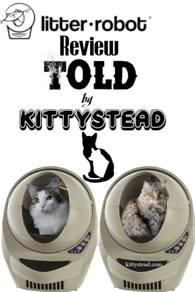 Litter Robot Review Told by Kittystead